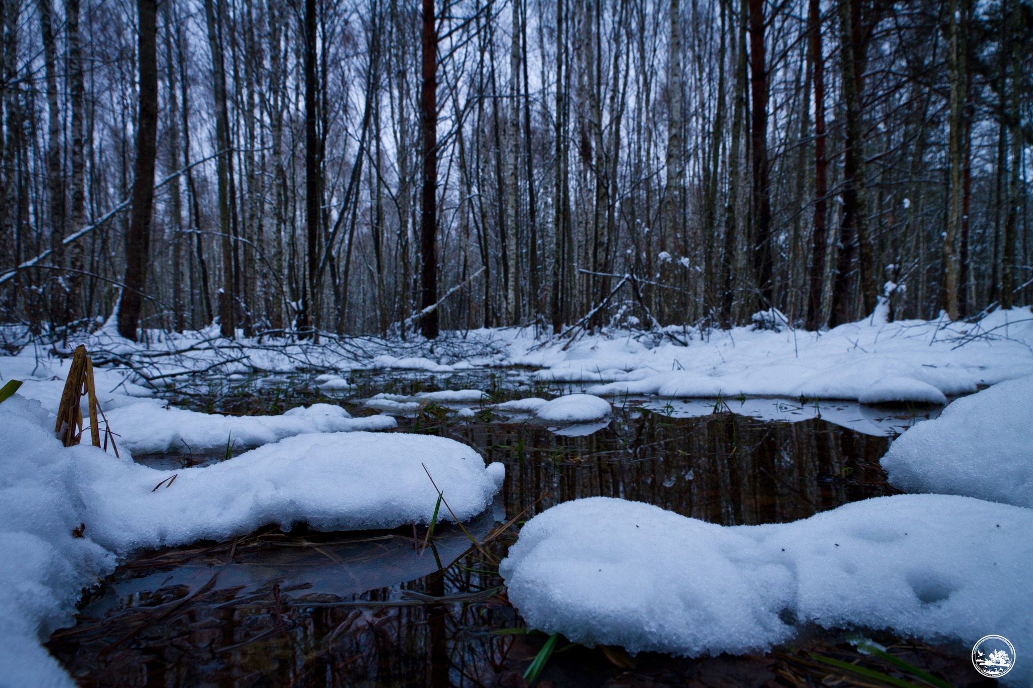 Снег, фото 2