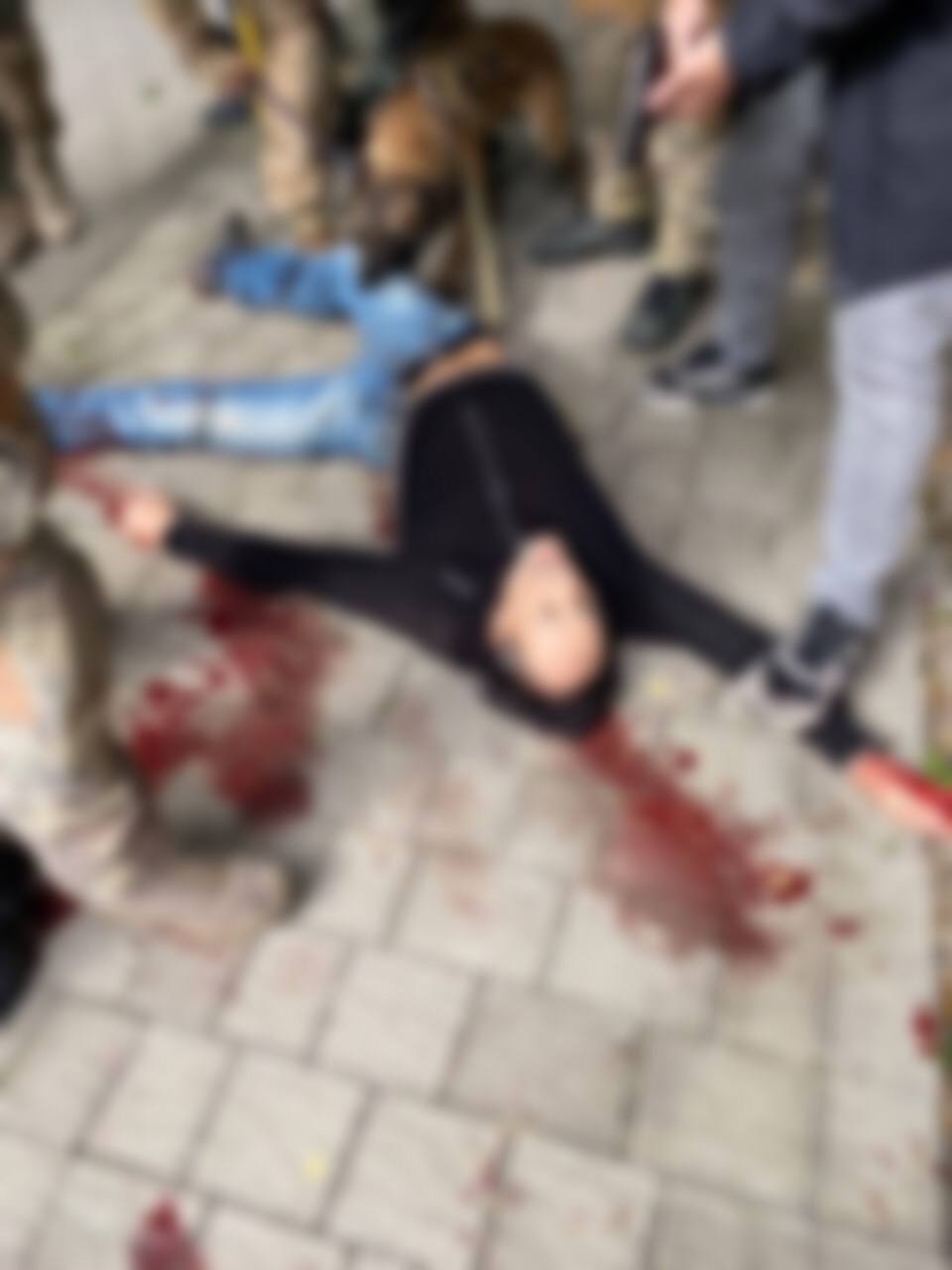 Мужчину, который убил полицейскую в Черновцах, задержали