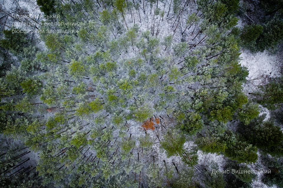 первый снег в чернобыле