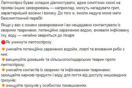 Врачи рассказали, как избежать смертельного заболеавания лептоспироз, которое передается от крыс