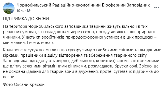 Скриншот: в заповеднике помогают животным продержаться до весны